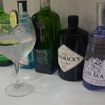 barra gint tonic