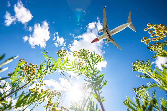 Norwegian Reward vuelos gratis