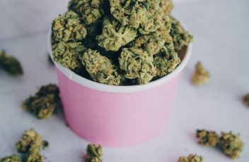 uso terapeutico cbd