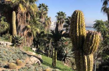 jardin panoramico barcelona