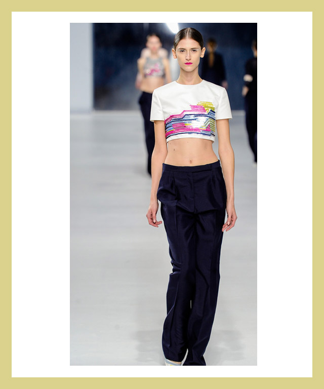 Resort Fashion 2014-Crop-tops-Dior