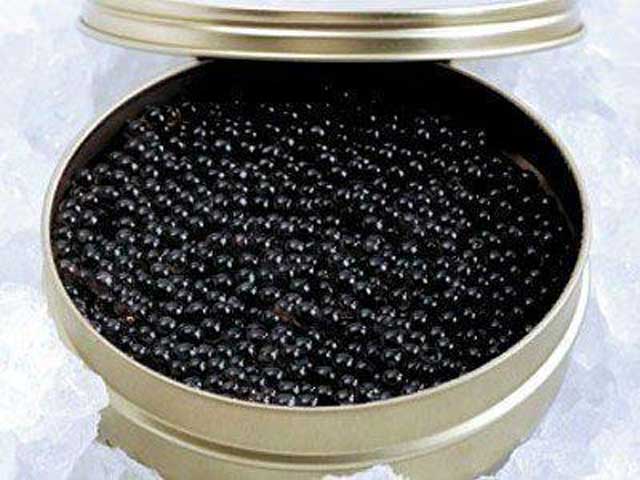 caviar-
