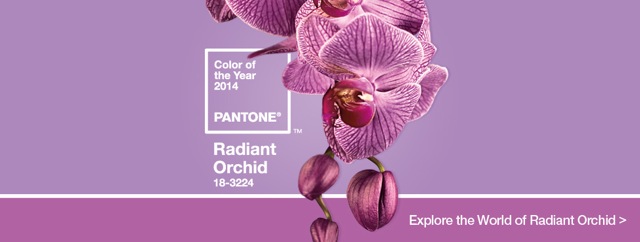 orquidea radiante color ano 2014 radiant_orchid