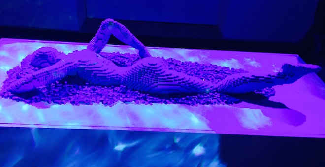 The Art of the brick 7