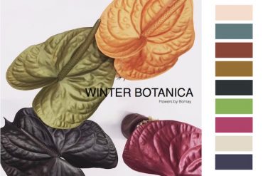 Colores de moda invierno 2018 winter botanica