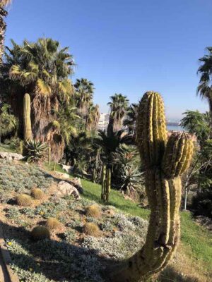 jardin panoramico barcelona