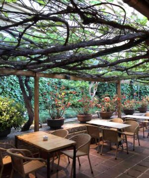 terraza la balsa restaurante