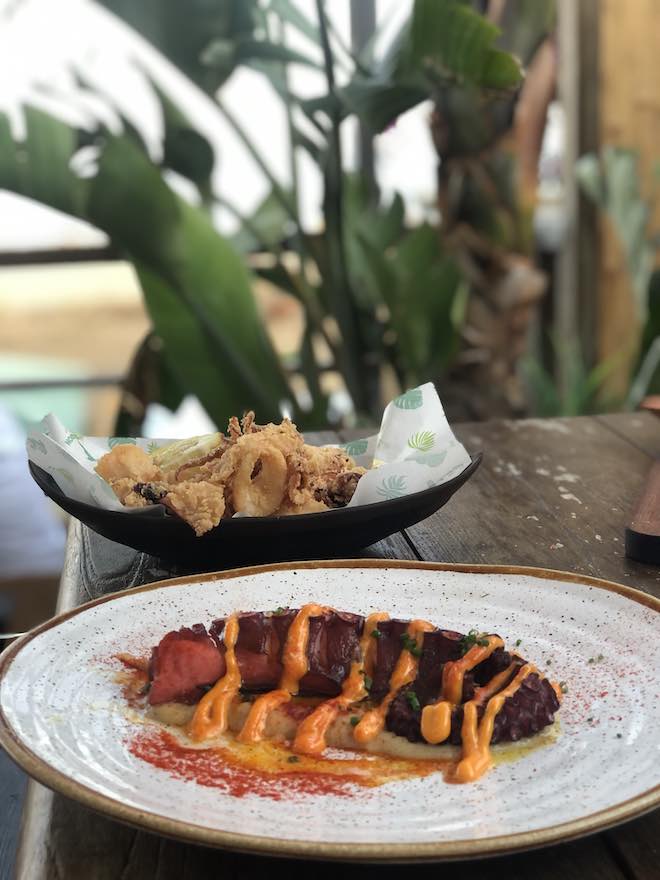cocina mediterranea rooftop tiburon beach club