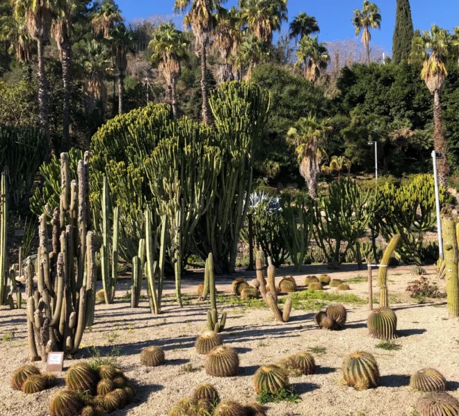jardin cactus barcelona