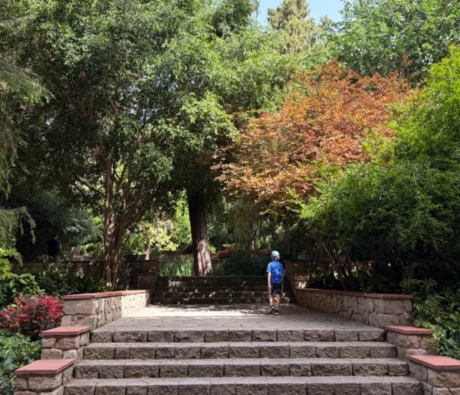 jardines plaza universidad